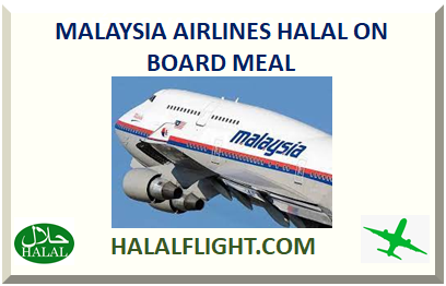 MALAYSIA AIRLINES HALAL ON BOARD MEAL